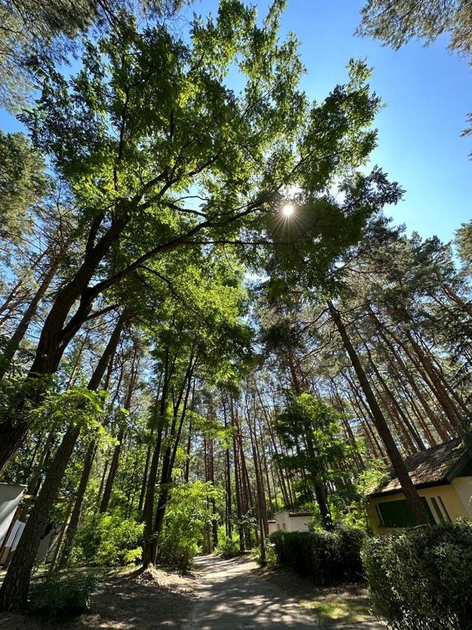 Summer House Lubniewice Luaran gambar