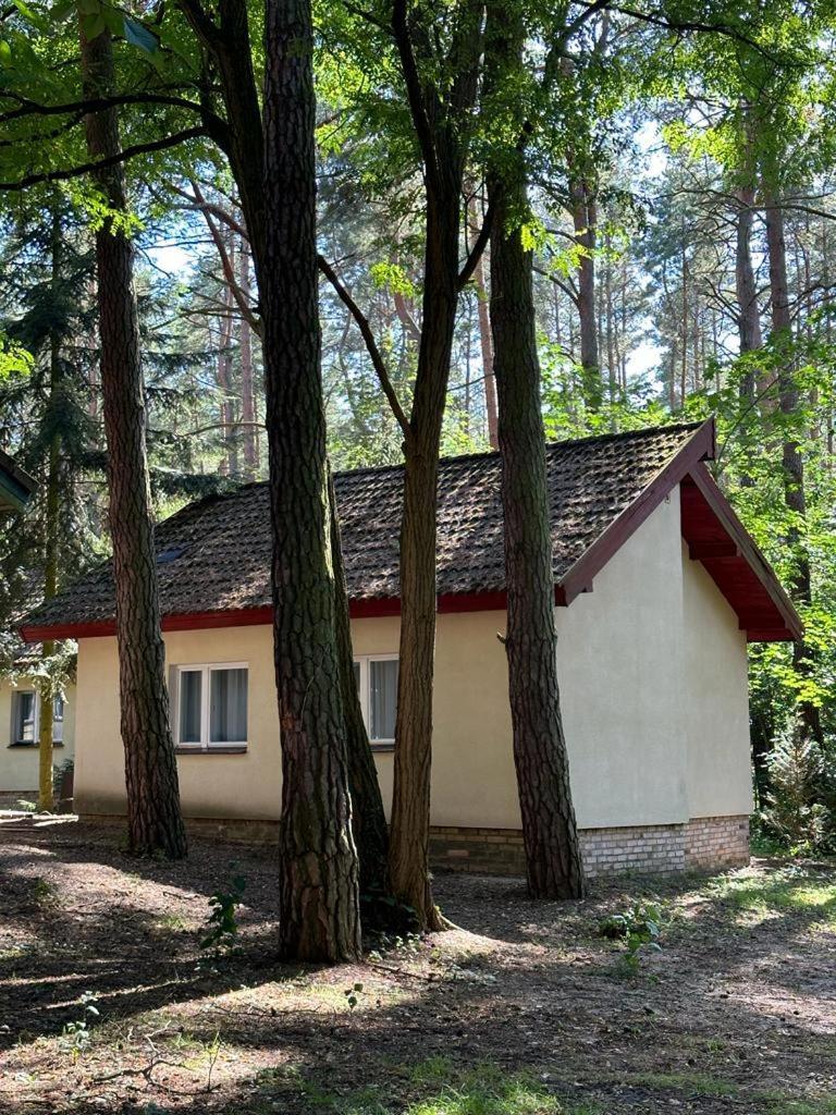 Summer House Lubniewice Luaran gambar